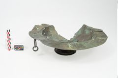 Foto von Bronzebreitrandfußschale (NHMW-PRAE-025740)